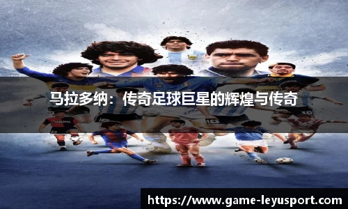 乐鱼体育公司